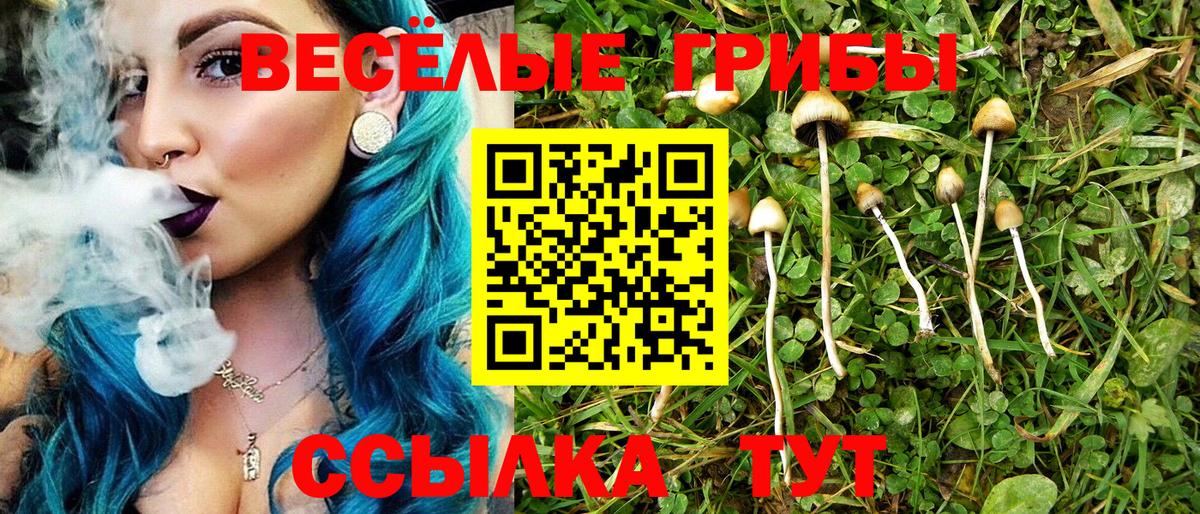 Отрадное  Галлюциногенные грибы Psilocybe  Вход с VPN 