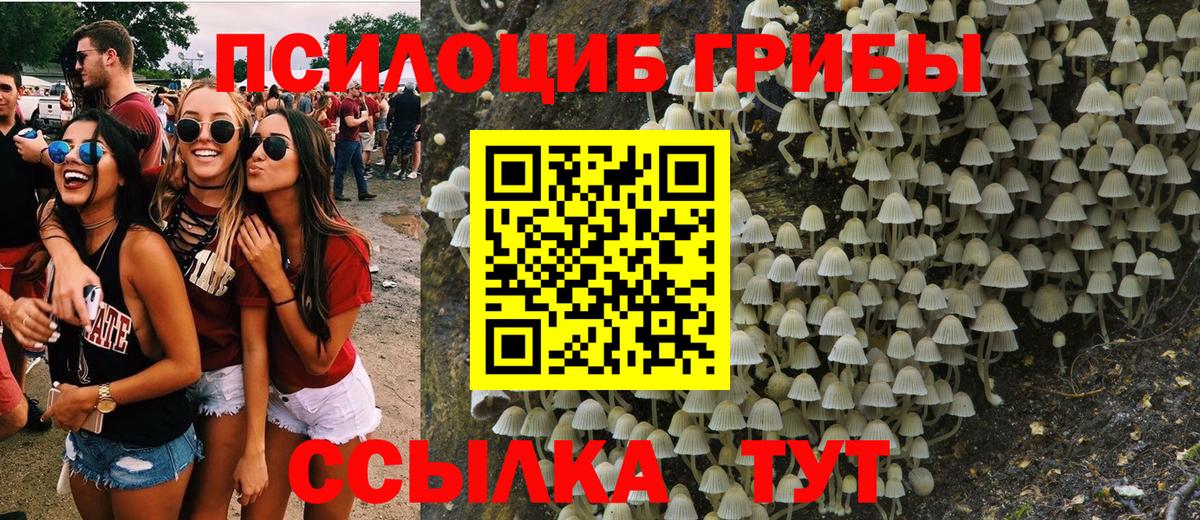 Псилоцибиновые грибы GOLDEN TEACHER Отрадное